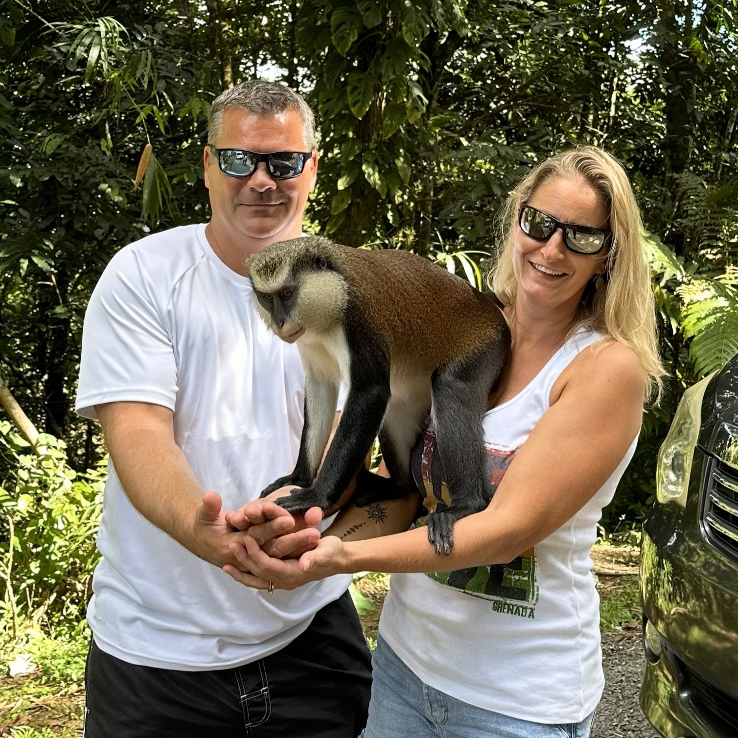 pastures-to-palm-trees